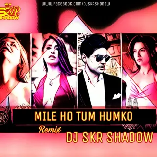 Mile Ho Tum Humko Remix