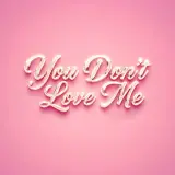 You Dont Love Me