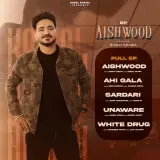 Sardaari