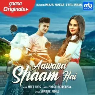 Aawara Shaam Hai Ft. Meet Bros