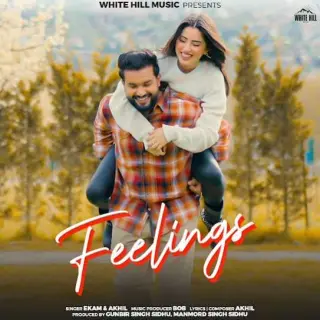 Feelings
