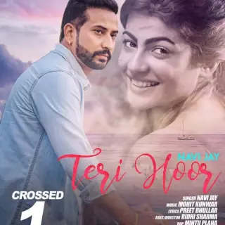 Teri Hoor