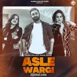 Asle Wargi