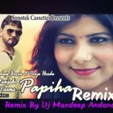 Paphiya Remix