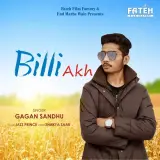 Billi Akh