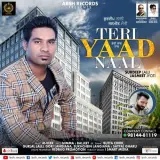 Teri Yaad Nall