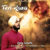 Teri Raza