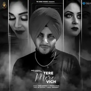 Tere Mere Vich Ft. Afsana Khan