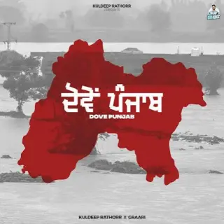 Dove Punjab