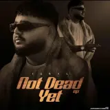 All Out