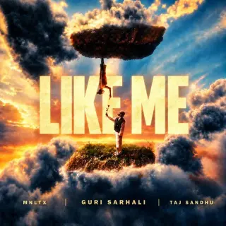 Like Me