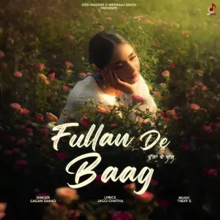 Fullan De Baag
