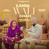 KANDE WALI CHAH