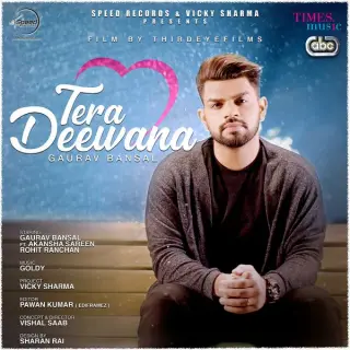 Tera Deewana