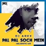 Pal Pal Soch Mein Melodistic Mix