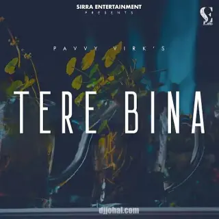 Tere Bina