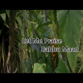 Let Me Praise