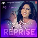 Teri Ban Jaungi Reprise (T-Series Acoustics)