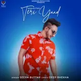 Teri Yaad