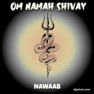 Om Namah Shivay