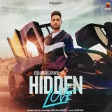 Hidden Love